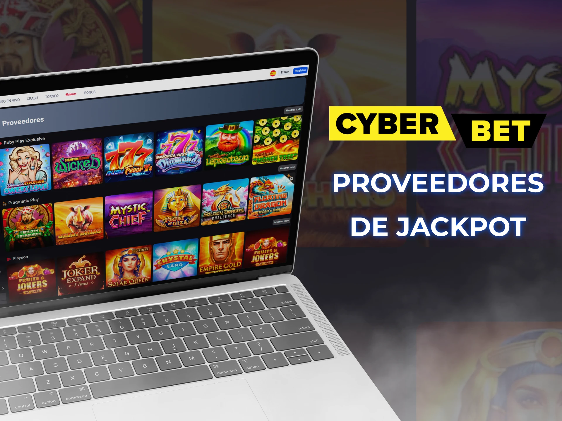 Cyber Bet coopera con los mejores proveedores de juegos de bote.