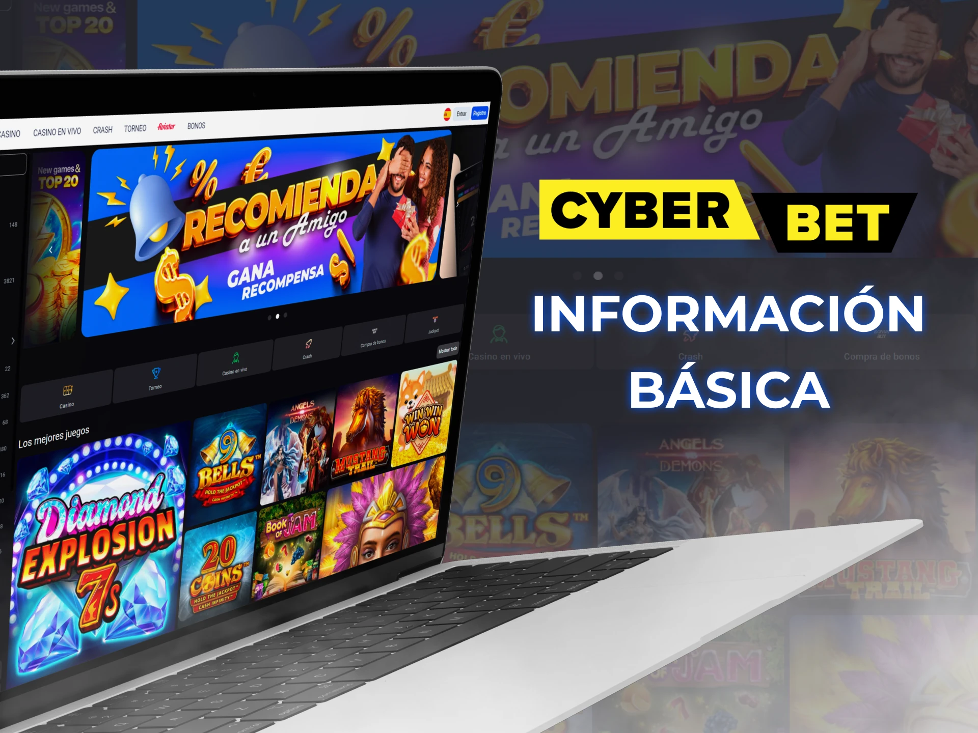 Aquí está la información básica sobre Cyber Bet Casino.